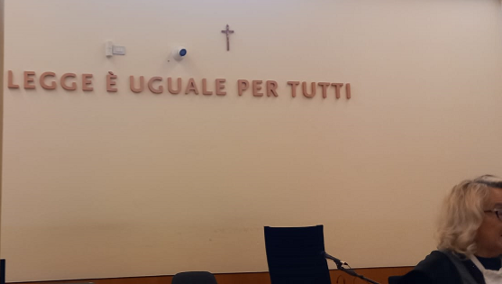 IL PROCESSO SIMULATO